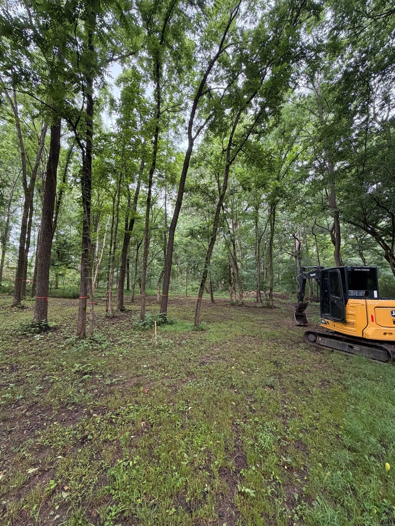 Yellow excavator parked in a wooded forest clearing surrounded by tall trees and green grass